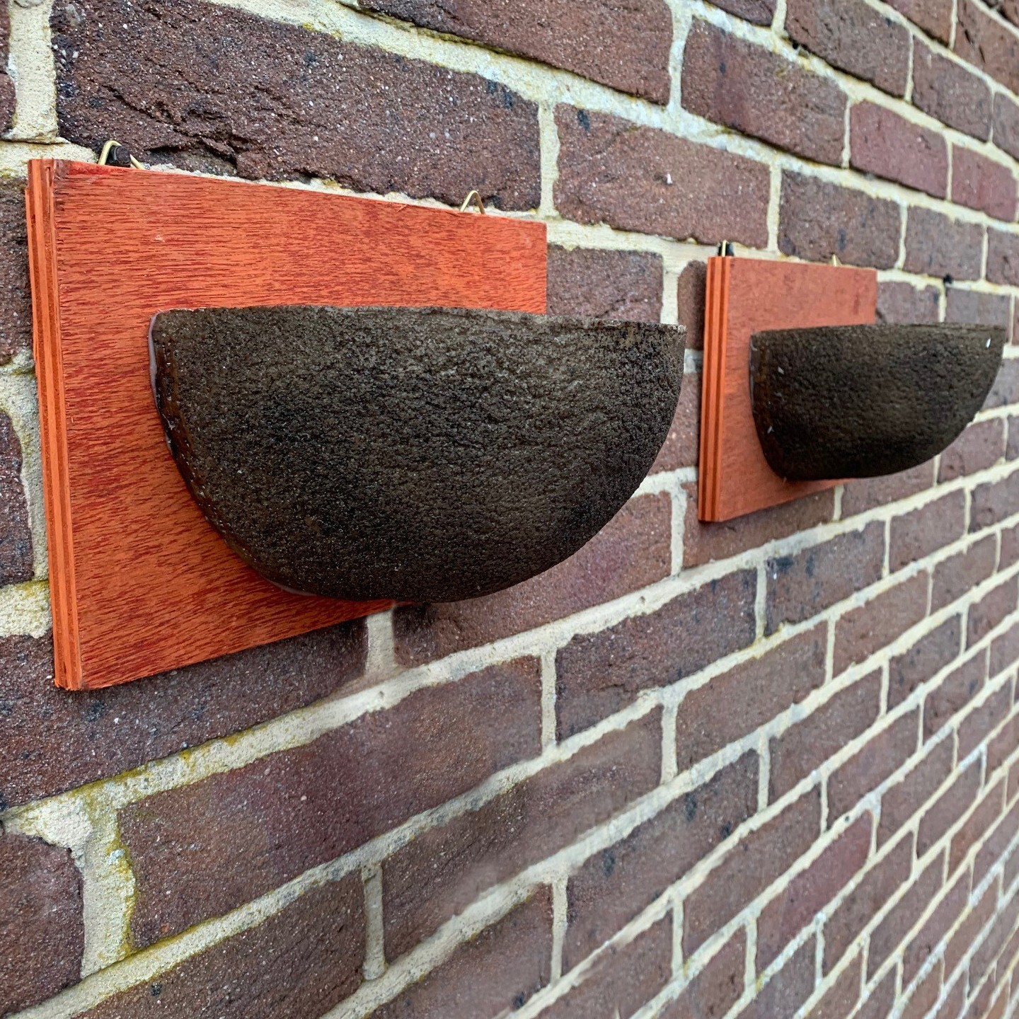 Swallow Nest Box Garden Wild Bird House Wooden Roosting Nesting (Pack of 2)