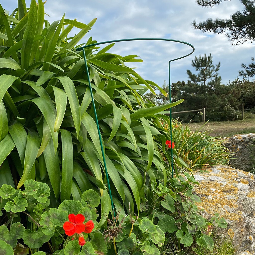 Metal Garden Plant Support Hoop Bow Half Round System 52cm x 90cm (Pack of 10)