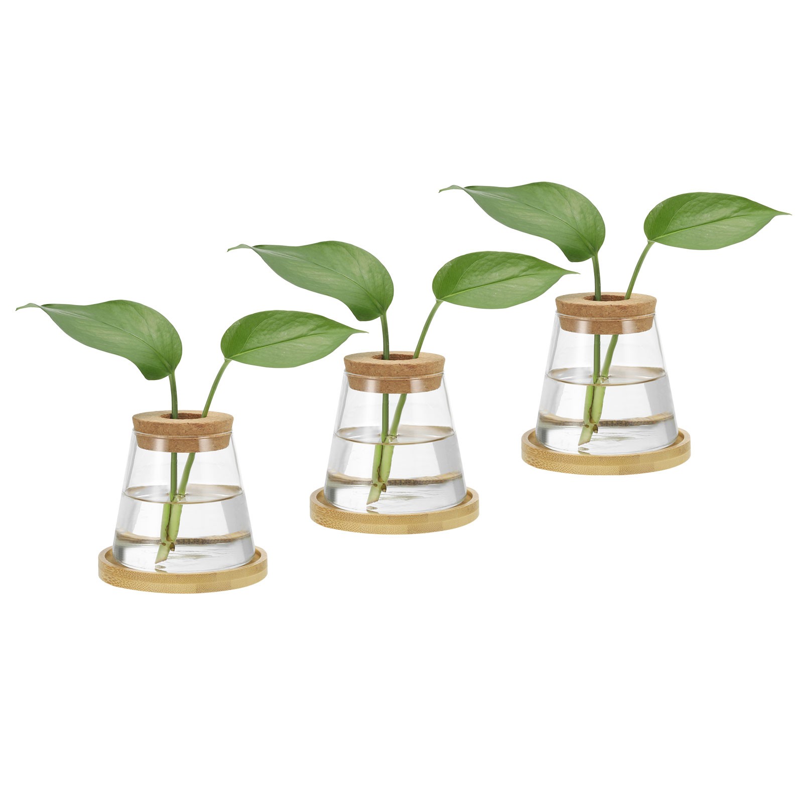 3 Pcs Plant Propagation Station Glass Vases with Wooden Tray & Lid, Brown