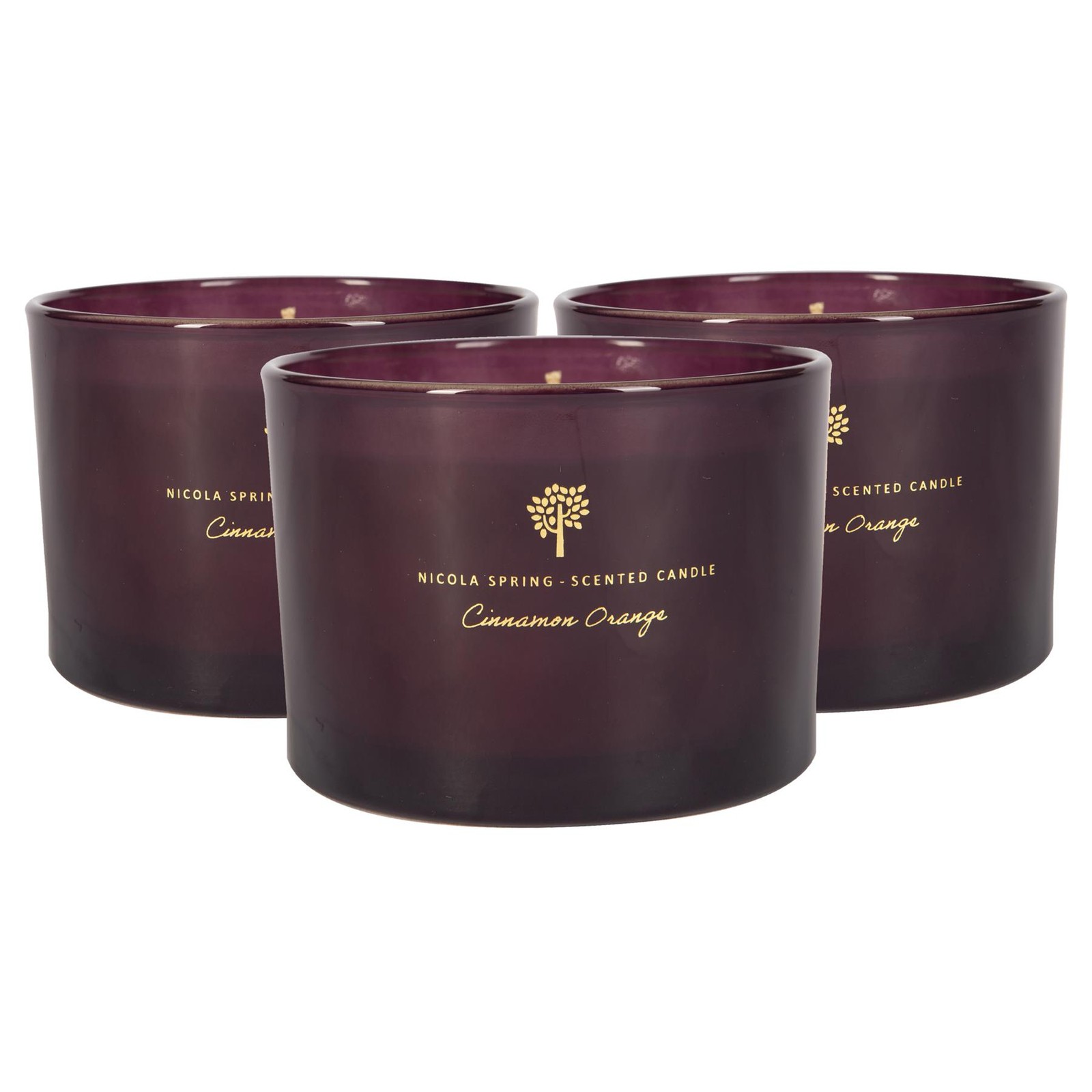 3x Soy Wax Scented Candles Aromatherapy Gift 38hr Burn 350g Cinnamon & Orange
