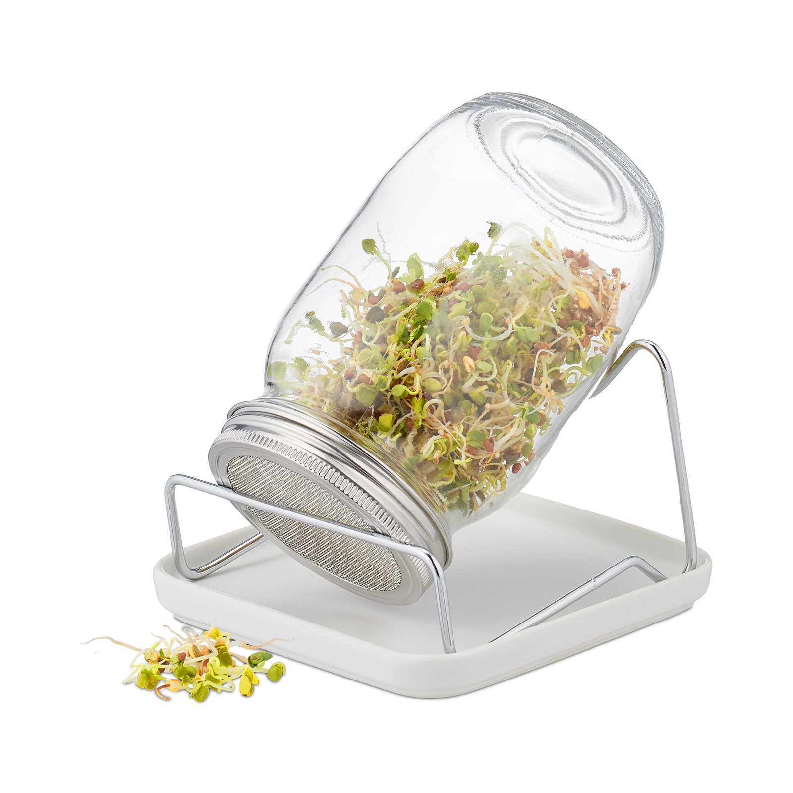 Sprout glass Germination Vessel 850 ml Sprouting Glass Indoor Sprout Kit
