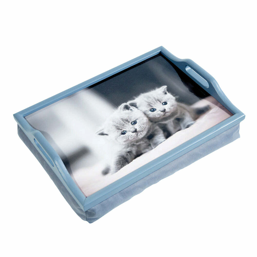 Laminated Wooden Lap Tray with Built in Cushion - 100 x 400 x 300mm - Easy Clean