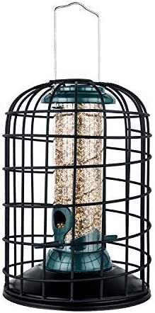 iBorn Squirrel Proof Bird Feeder with Squirrel, Pestoff Hanging Wild Bird Seed