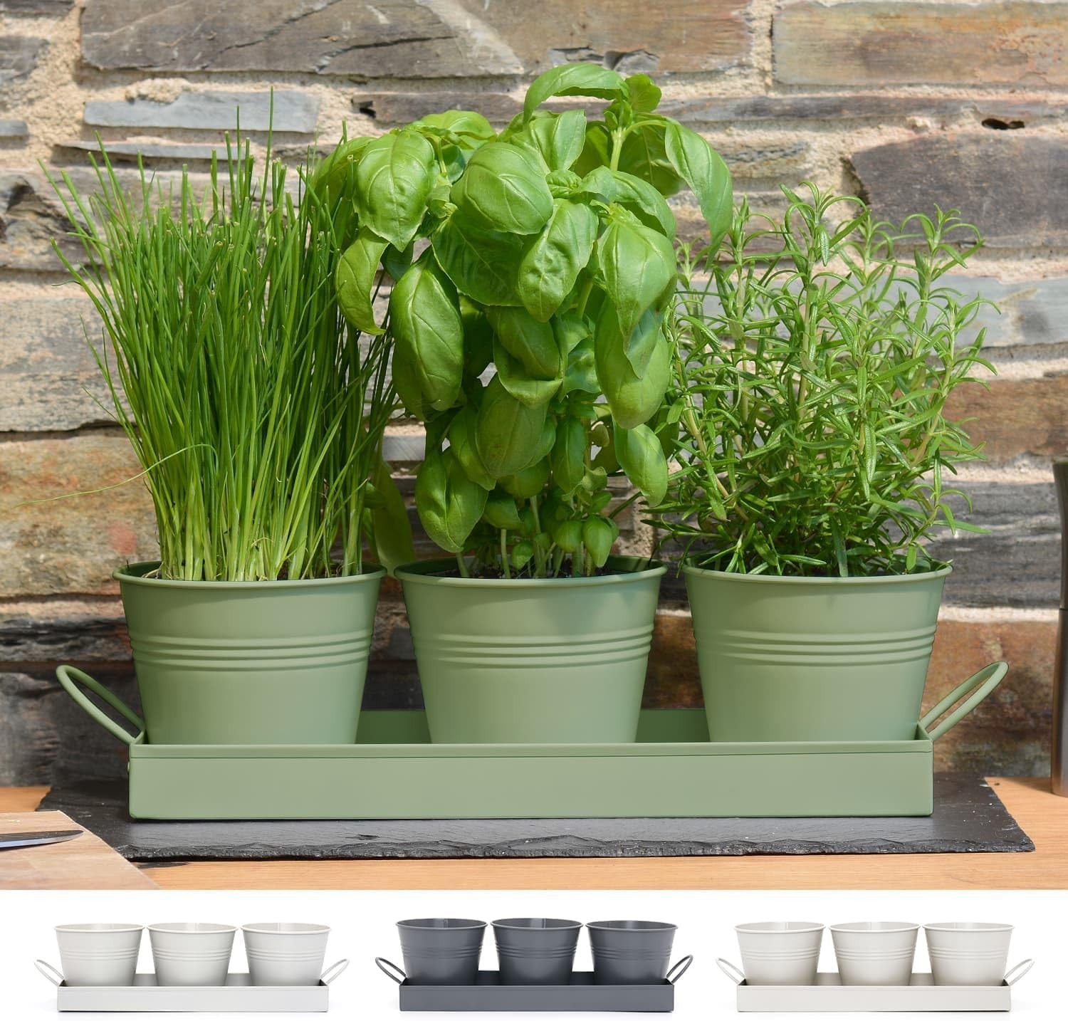 CKB LTD Set of 3 Metal Herb Plant Pots with Drip Tray Traditional Indoor Window