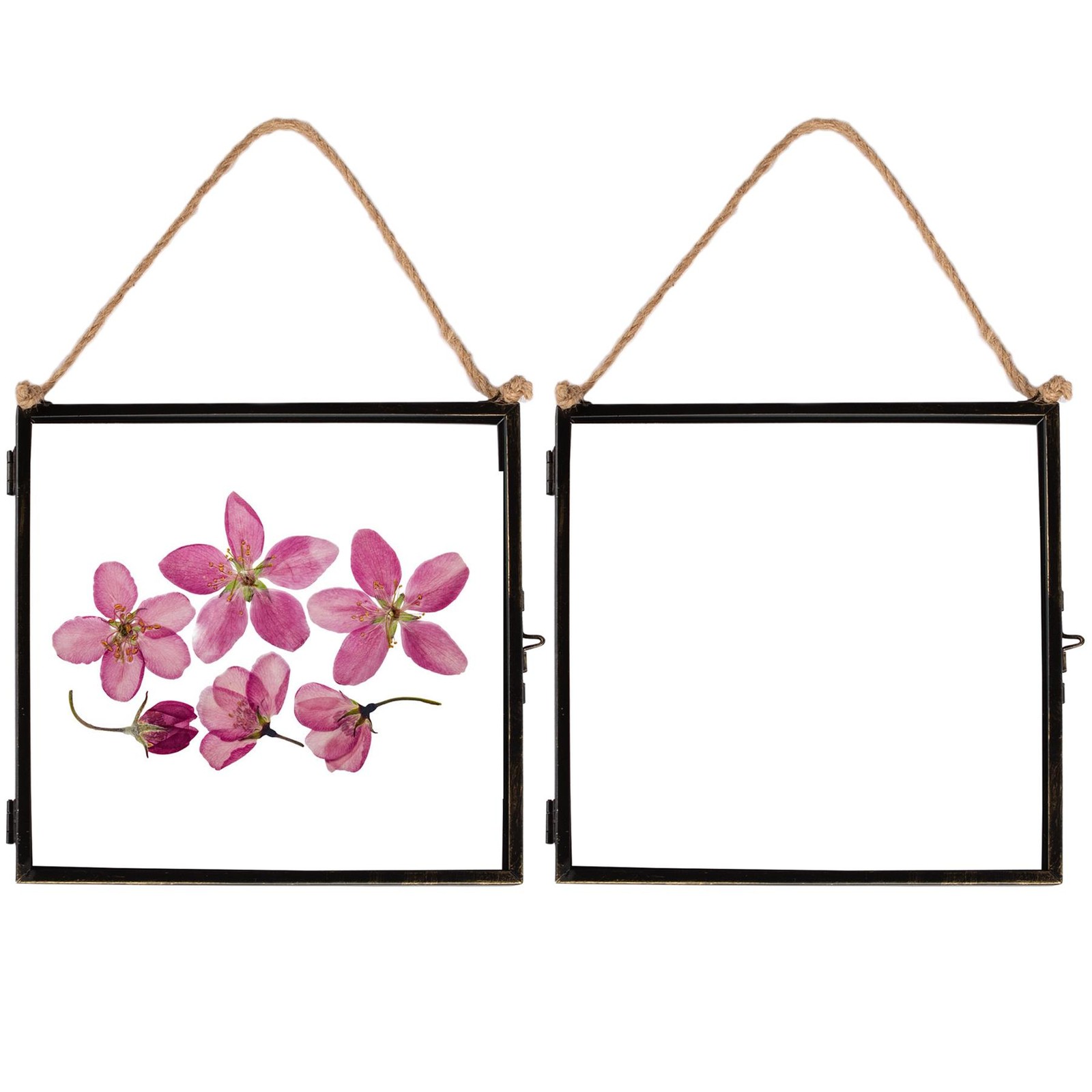 5x Hanging Metal Photo Frames Vintage Floating Picture Display 8" x 8" Black
