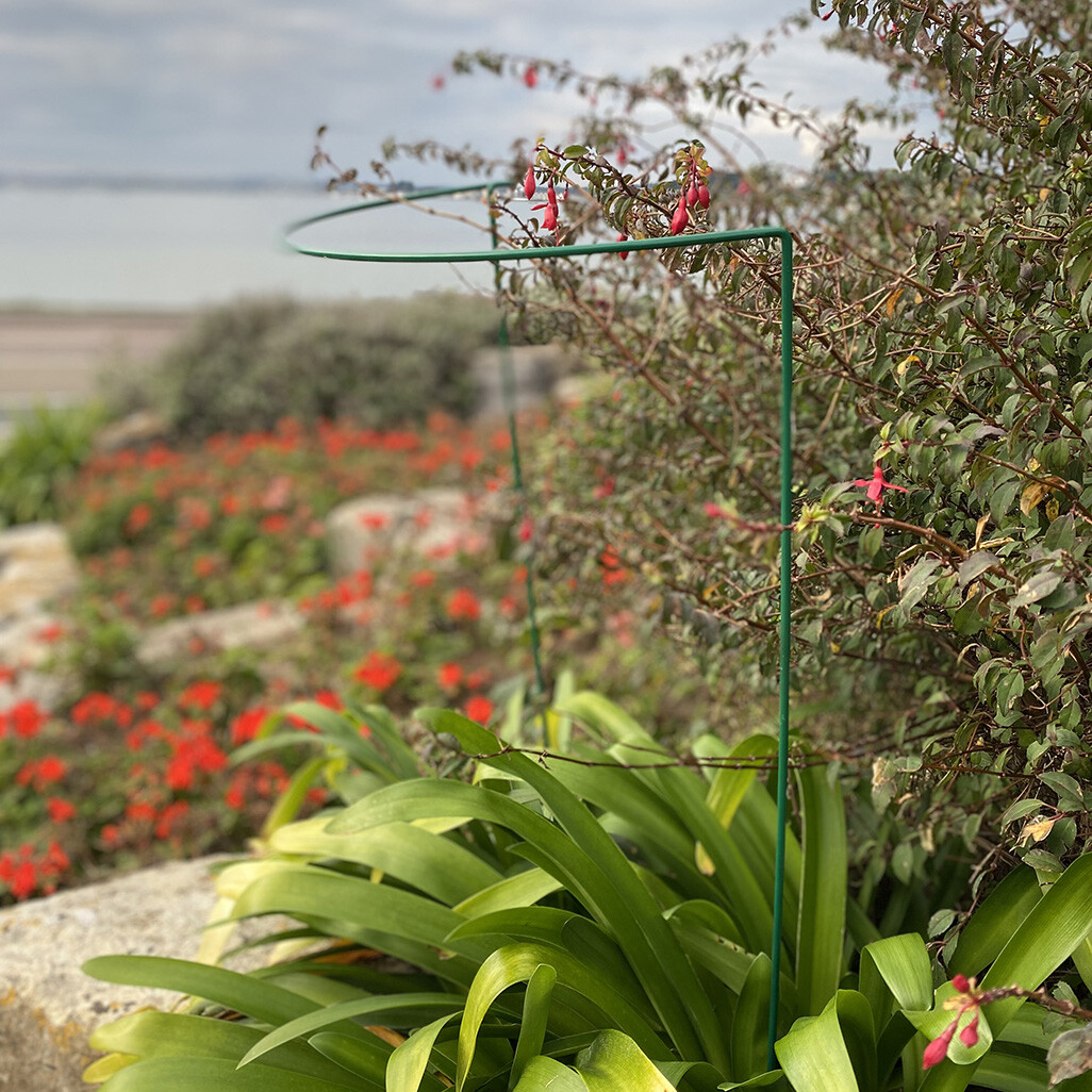 Metal Garden Plant Support Hoop Bow Half Round System 45cm x 60cm (Pack of 8)