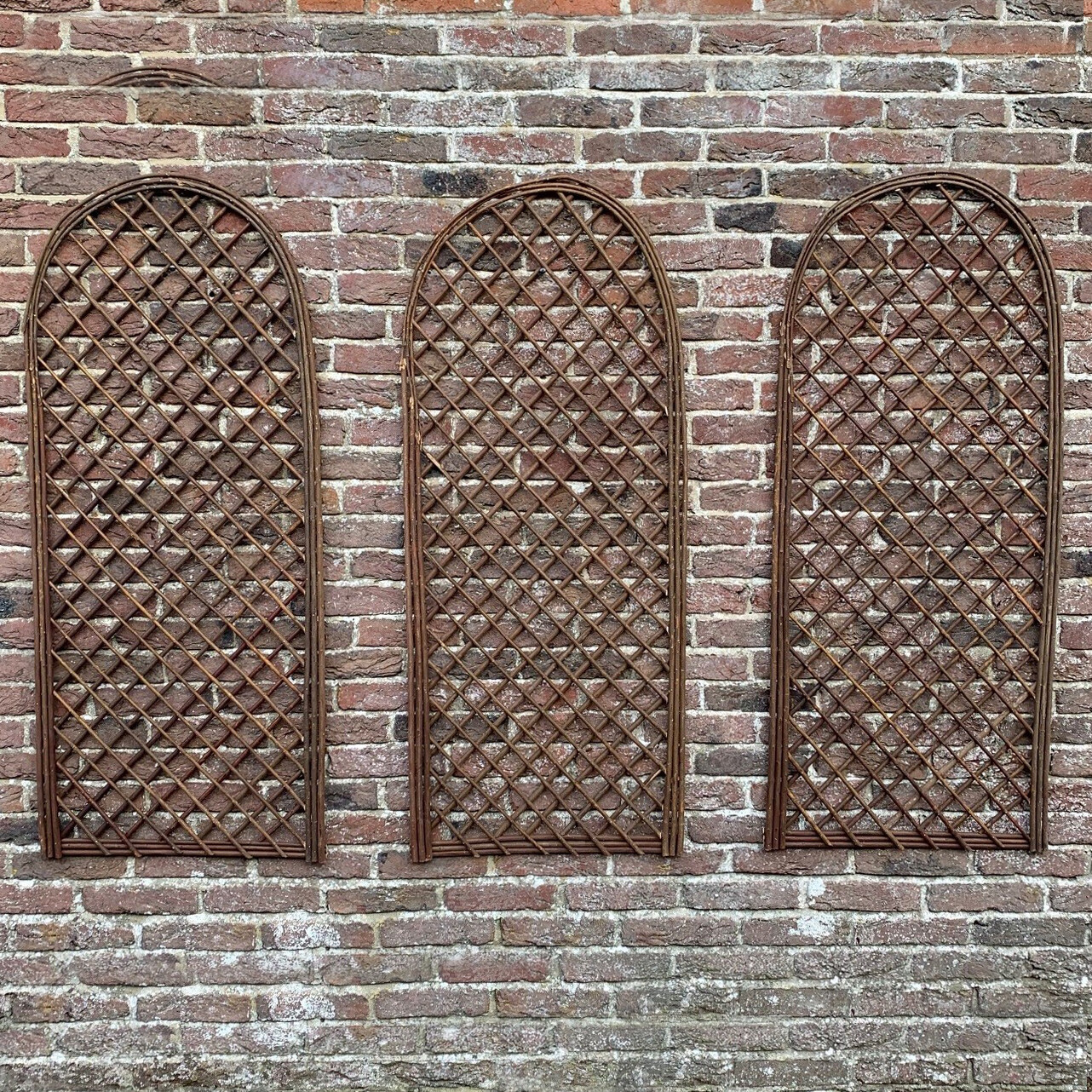 Willow Garden Trellis Panels with Curved Top Set of 3 Plant Support 120cm x 45cm