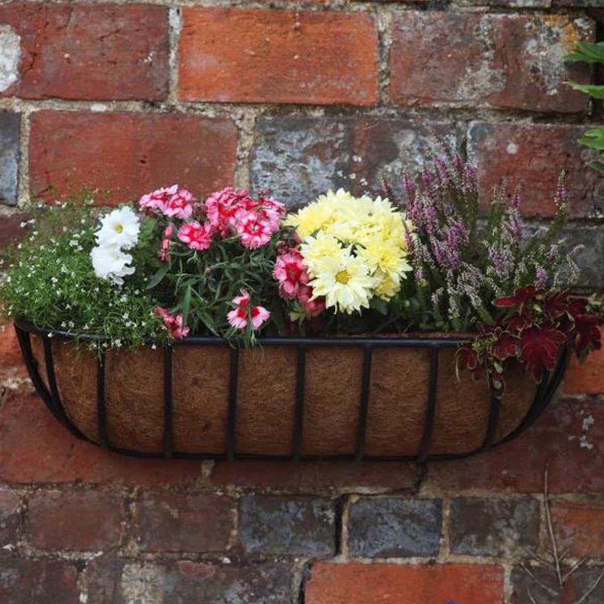 Smart Garden Forge Wall Trough - 48in