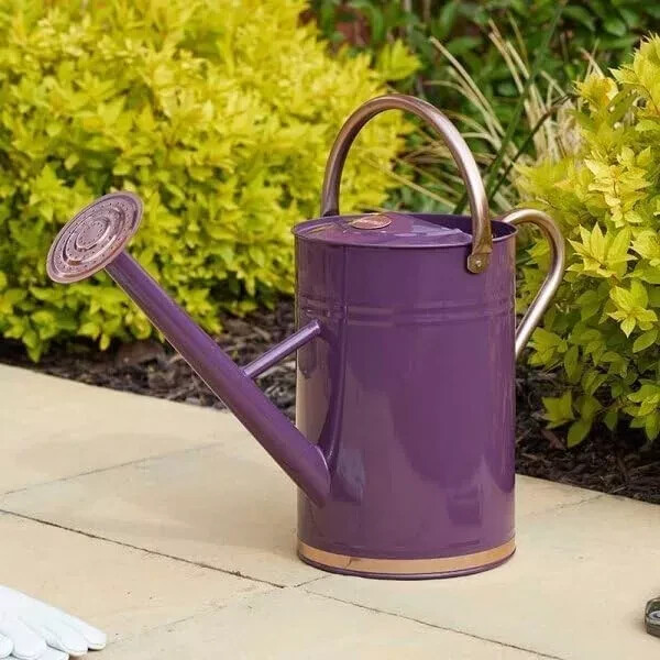 4.5L Garden Watering Can Galvanised Steel Flower Plant Rose Purple Long Reach