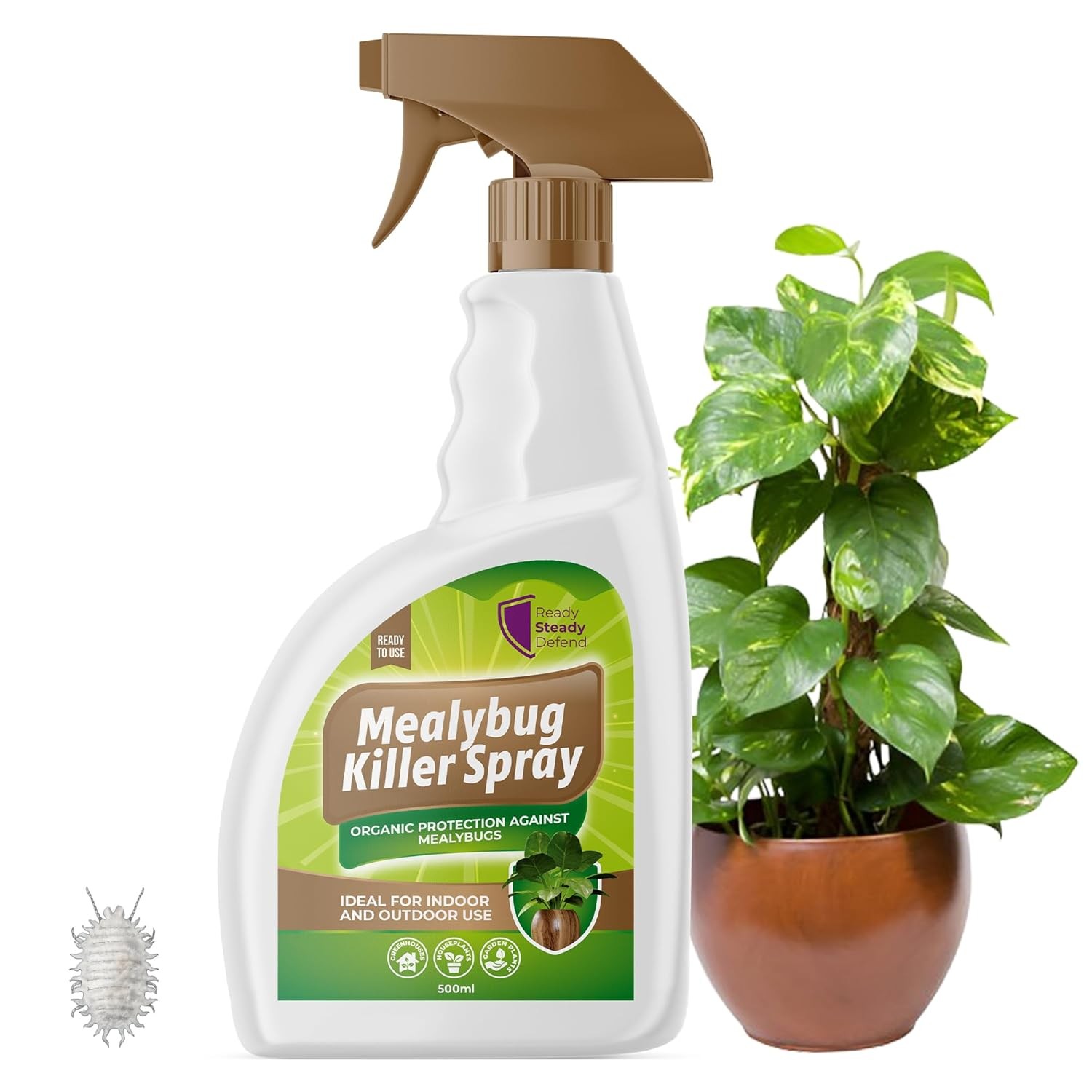 Mealybug Killer Spray 500ml - Bug Spray with Insecticidal Soap for Indoor Plant