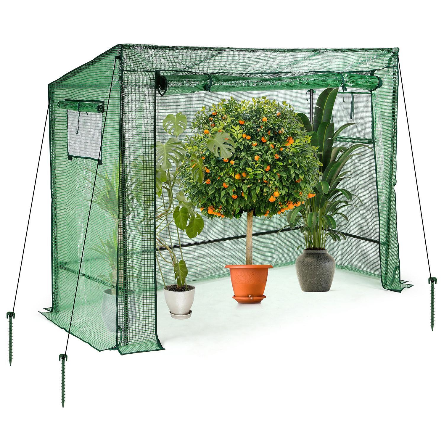Walk-in Garden Tomato Greenhouse Plant Warm House w/ Roll Up Door 200x78x150cm