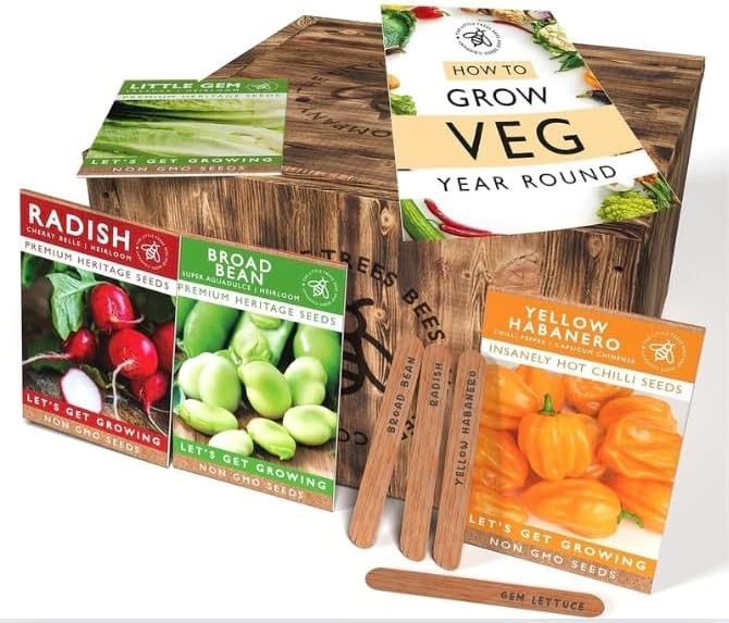 Vegetable Seeds for Gardening, 25 Heirloom Seed Varieties Included in This Grow