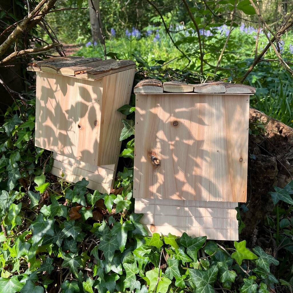 Large Wooden Bat Nesting Roosting Box Wildlife Habitat Shelter (Set of 2)