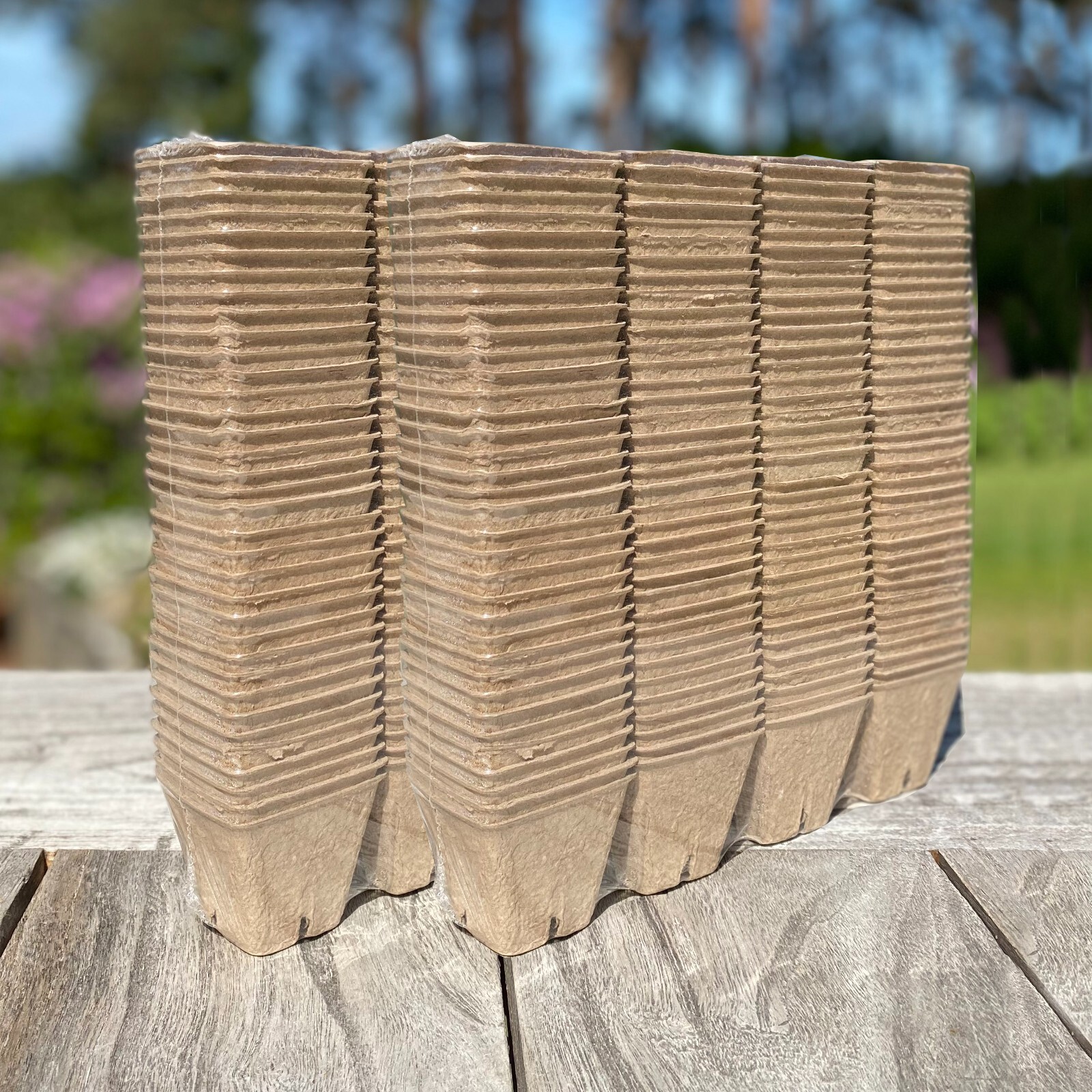 Biodegradable Plant Pots Seedling Cups Fibre Compostable Square 5cm (288 Pack)