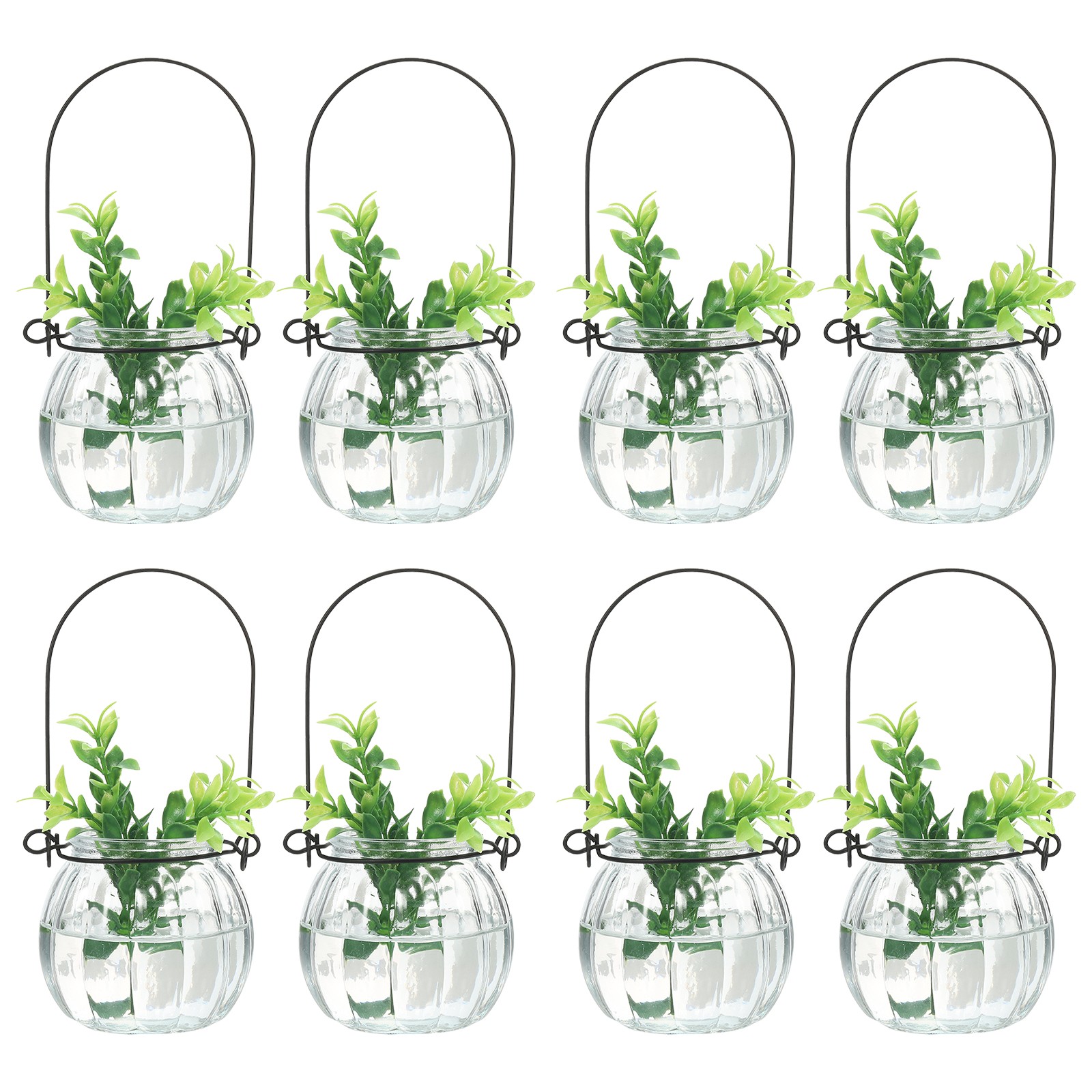 8 Pack Pumpkin Glass Terrarium Planter 2.4 Inch, Clear