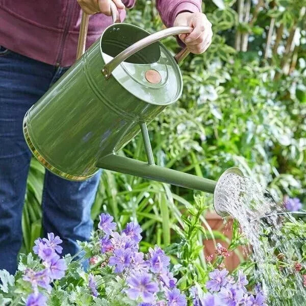 9L Garden Watering Can Galvanised Steel Flower Plant With Rose Sage Long Reach
