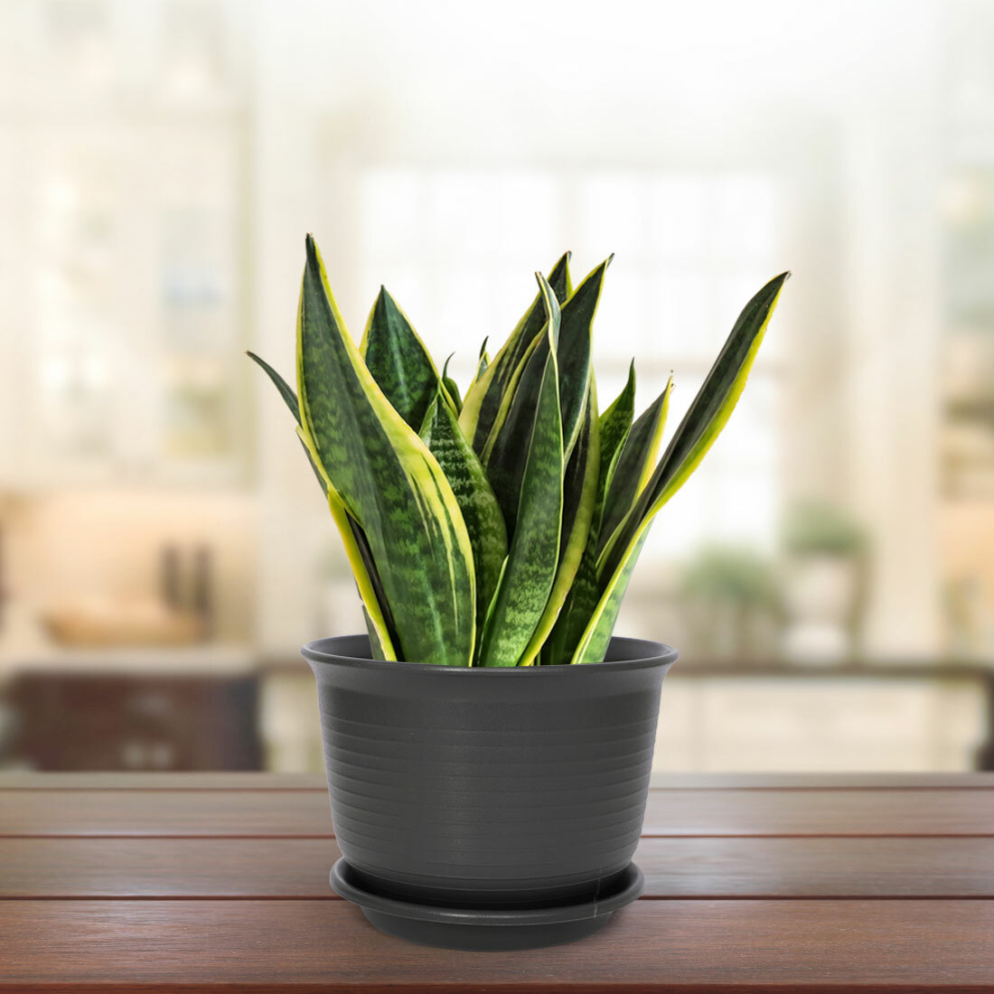 Balcony Plastic Drainage Holes Flower Plant Pot Tray Holder Container Dark Gray