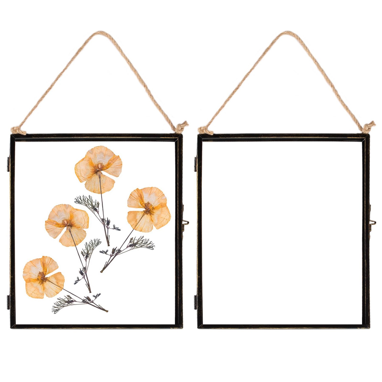 5x Hanging Metal Photo Frames Vintage Floating Picture Display 8" x 10" Black