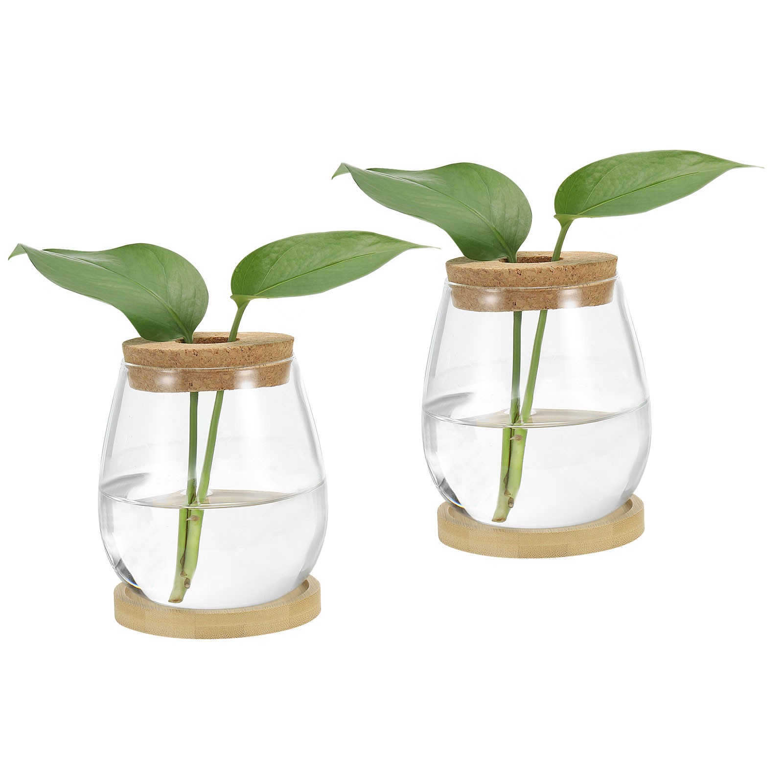 2 Pcs Plant Propagation Station Glass Vases with Wooden Tray & Lid, White