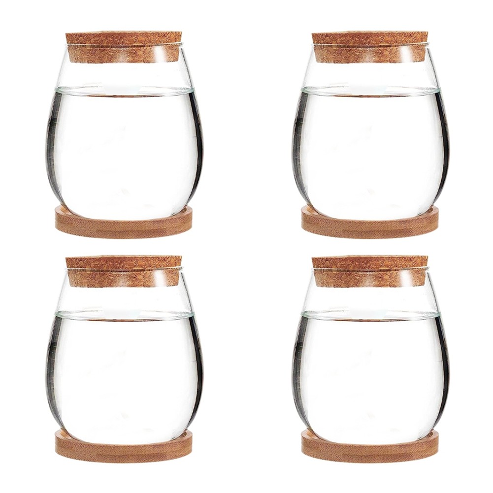 Transparent Terrarium Glass Soilless Green Plant Vase Garden Living Room2165