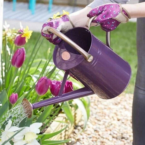 9L Garden Watering Can Galvanised Steel Flower Plant With Rose Purple Long Reach