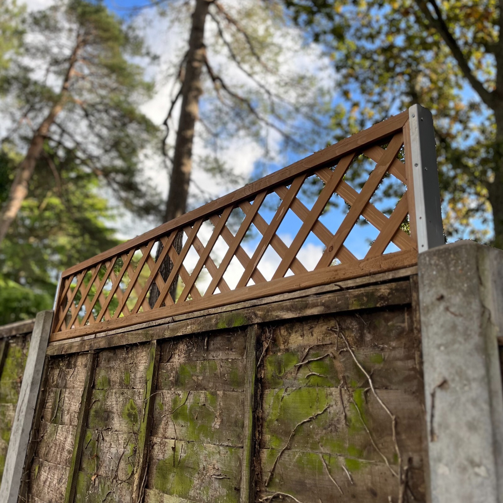 5 x Fence Topper Trellis Panels with Brackets Wooden Garden Privacy 180 x 30cm