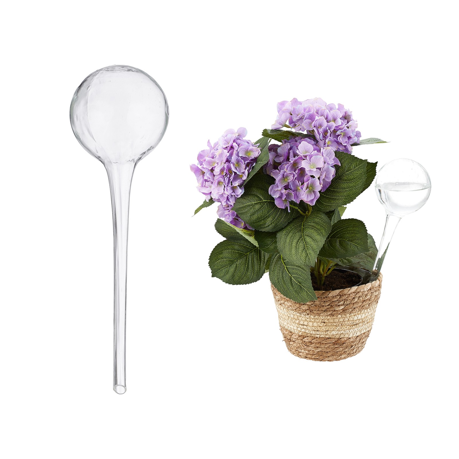 4x Watering globes Plant Irrigation Spheres Automatic Water Dispensers 30 cm