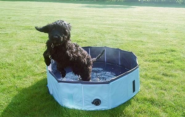 Pet Heat Relief Cool Down Dog Pool - Large30x160cm - Not Just For Dogs