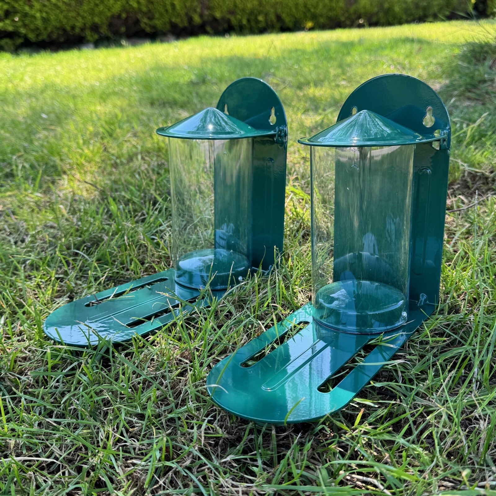 Squirrel Feeder Metal Garden Wildlife Feeding - Wall or Tree Mounted (Set of 2)