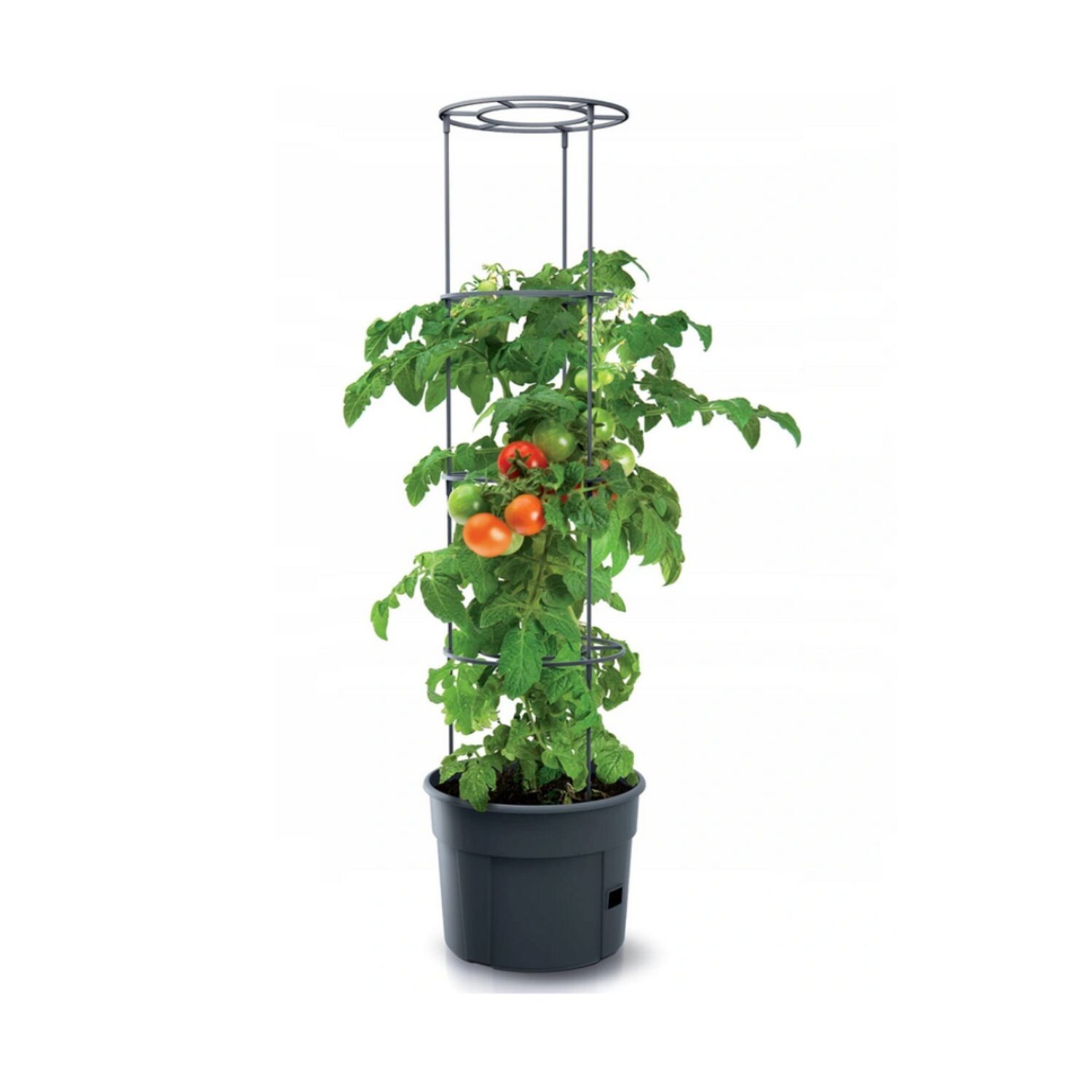Tomato Growing Pot Planter Grower 28L Home Garden Indoor Outdoor Set 31.5cm UK