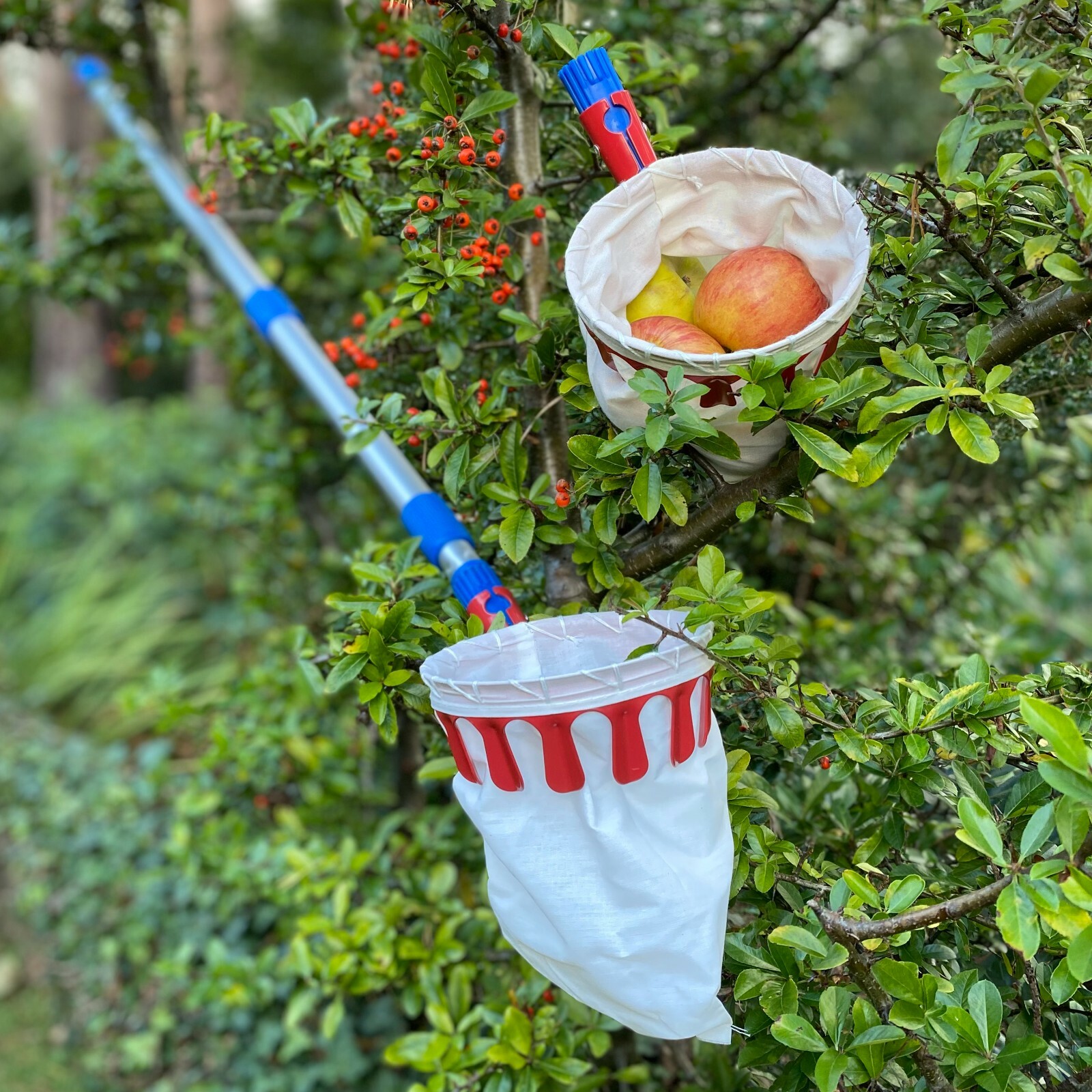 Lightweight Telescopic Handle Long Apple & Fruit Picker with Spare Picking Head