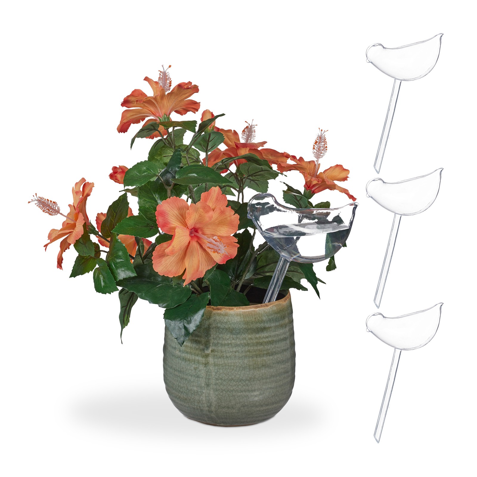 Watering Ball Thirst Globe Transparent Irrigation Spheres Plant Water Dispenser
