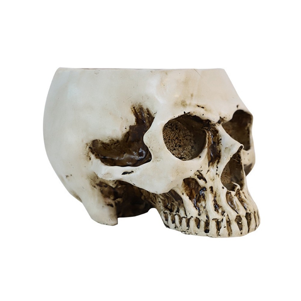 Resin Human Skull Model Flowerpot Workmanship Skull Planter Pot Attractive8836