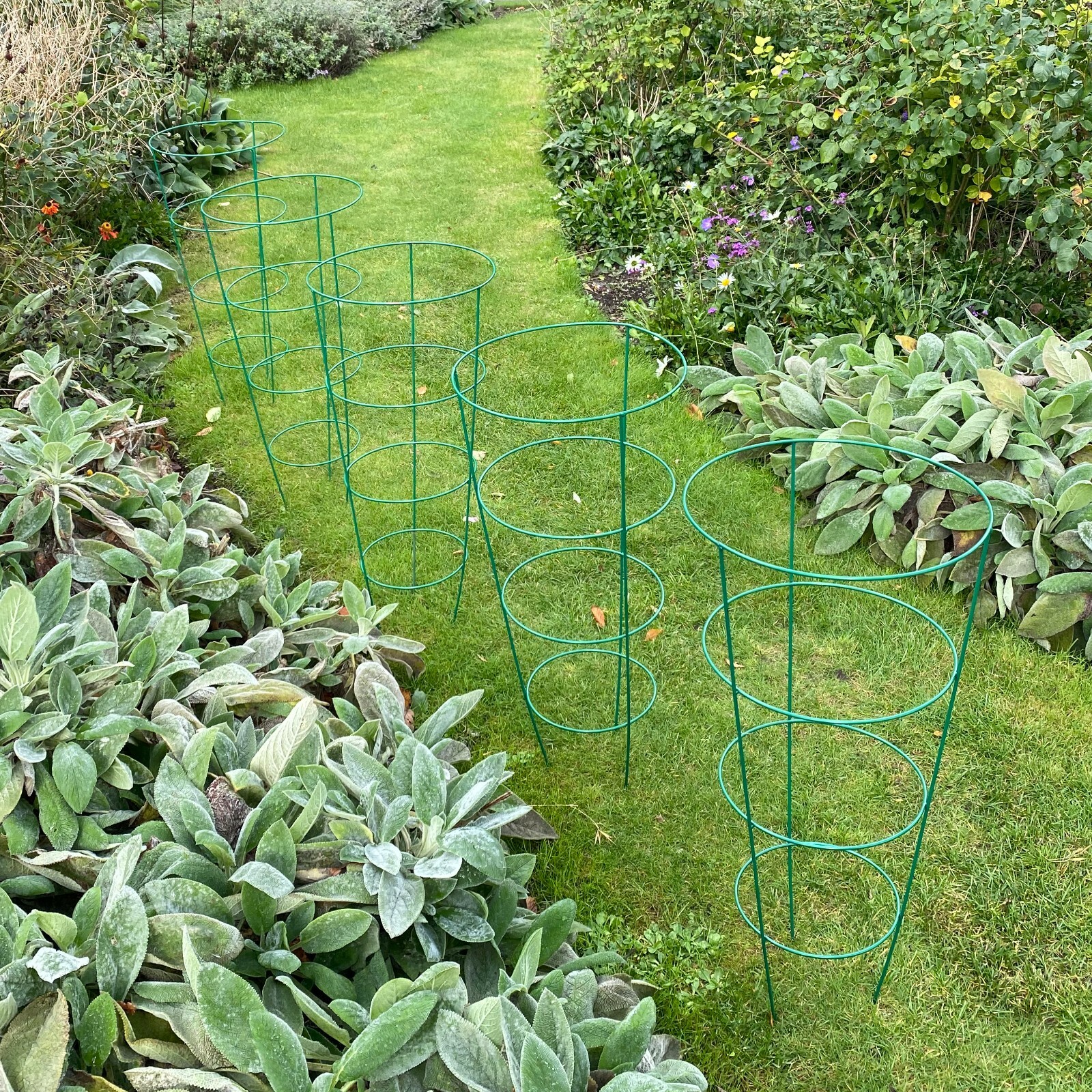 5 x Metal Conical Garden Plant Support Rings (75cm) Herbaceous Stake Tomato