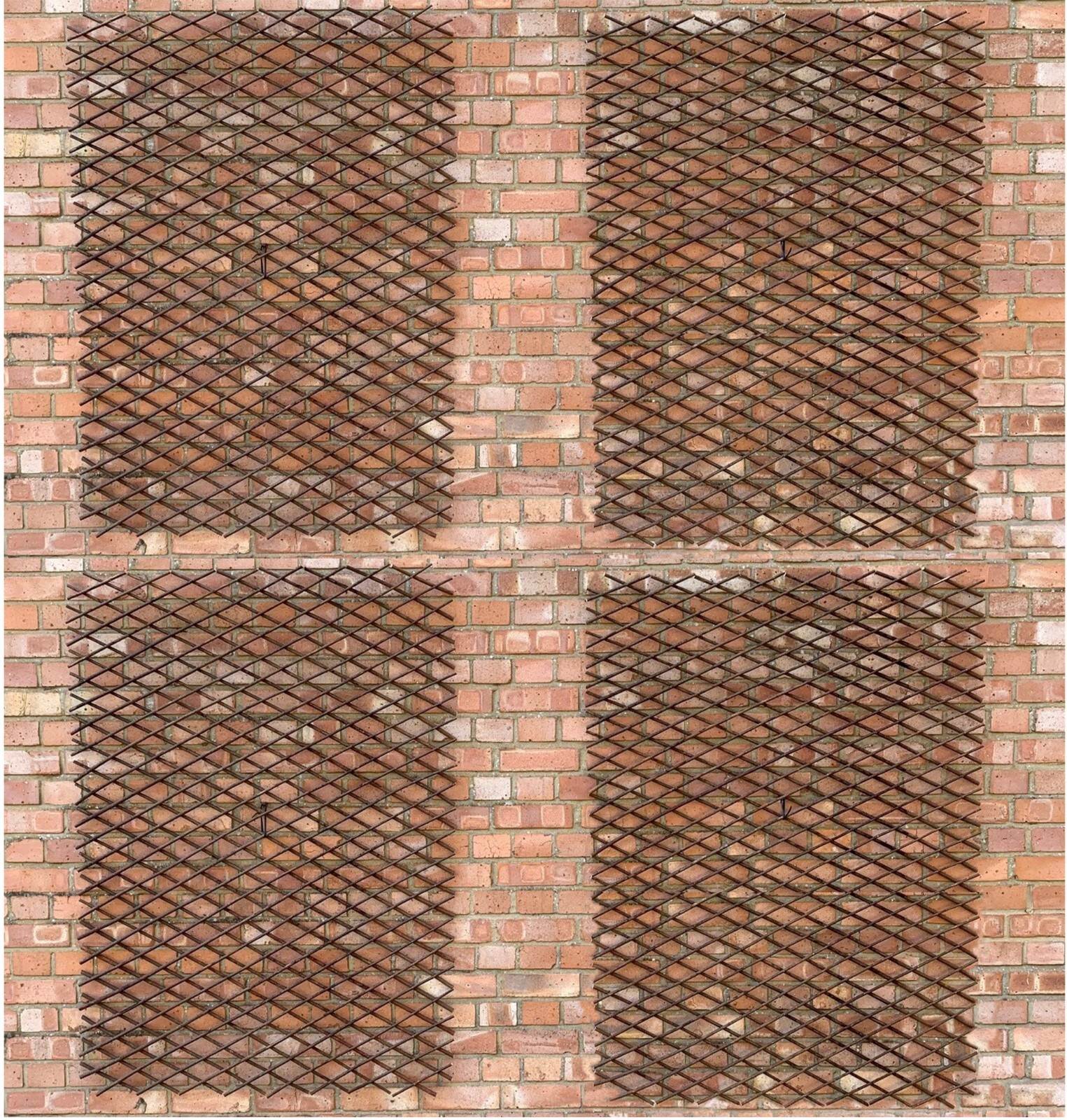 Expanding Willow Garden Trellis Climbing Plant Support (180cm x 90cm) - Set of 4