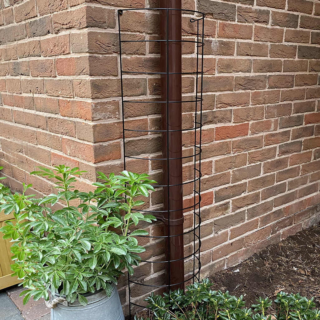 Large Metal Tube Trellis Semi Circular Plant Support for Drainpipes (Set of 2)