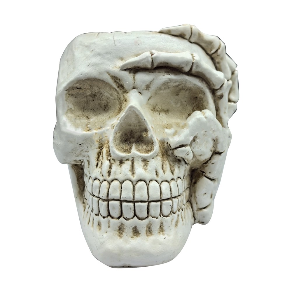 3X(Home Decoration Skull Flower Pot, Indoor Small Flower Pot, Indoor Plant 3136