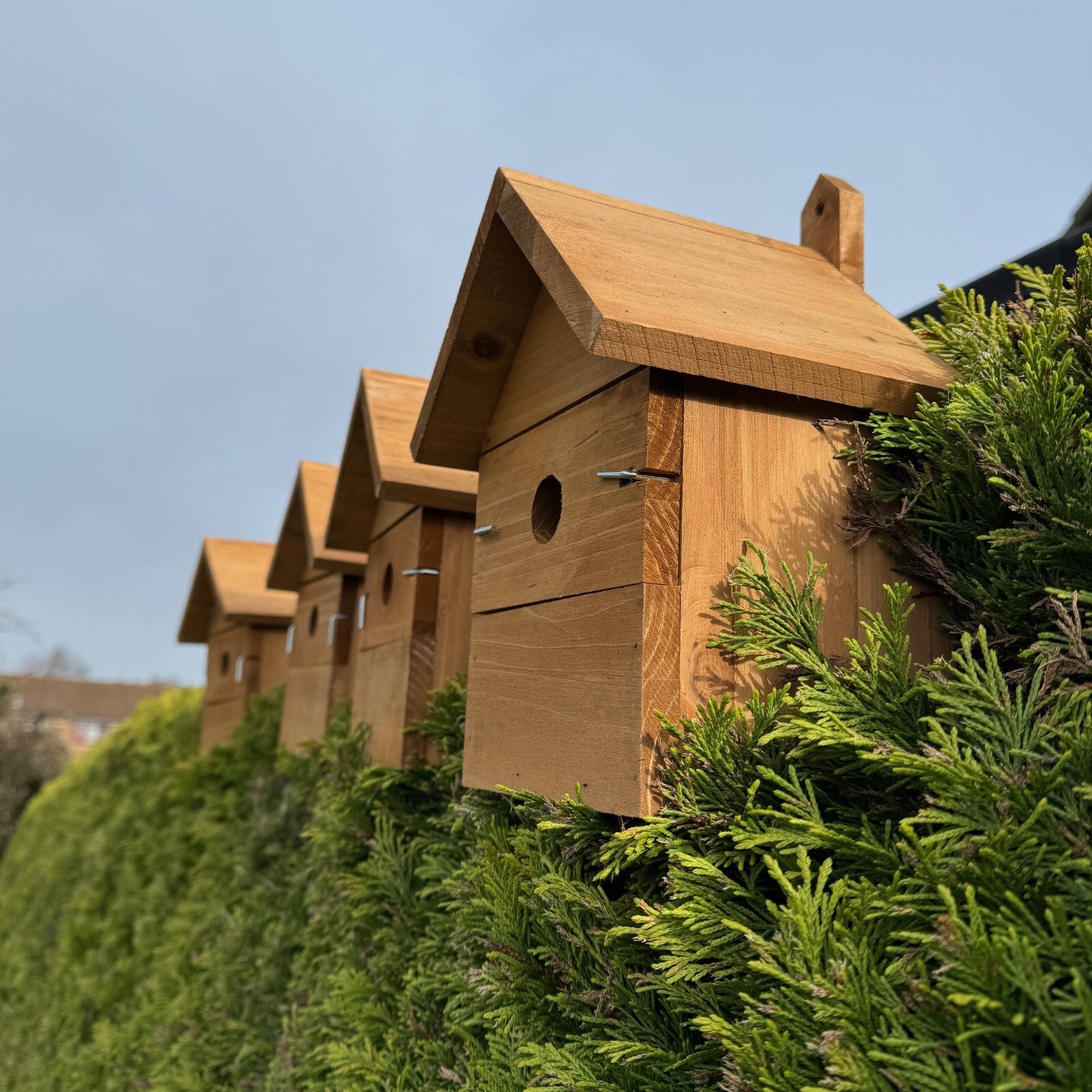 Large Wooden Multi-Hole Bird House Nest Box for Wild Garden Birds (Set of 4)