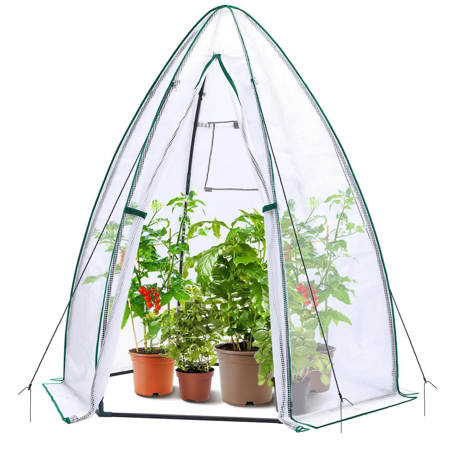 Walk-In Portable Tent Style Greenhouse Mini Grown House Steel Frame Window White