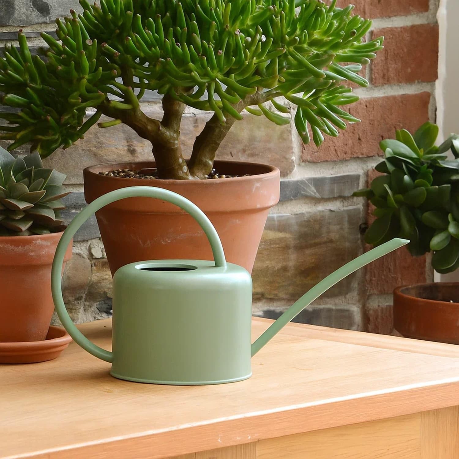 CKB Ltd® Small 1.1L Indoor Watering Can - Sage Coloured Galvanised Powder Coat