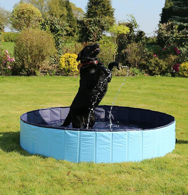 Pet Heat Relief Cool Down Dog Pool - Medium 30x120cm - Not Just For Dogs