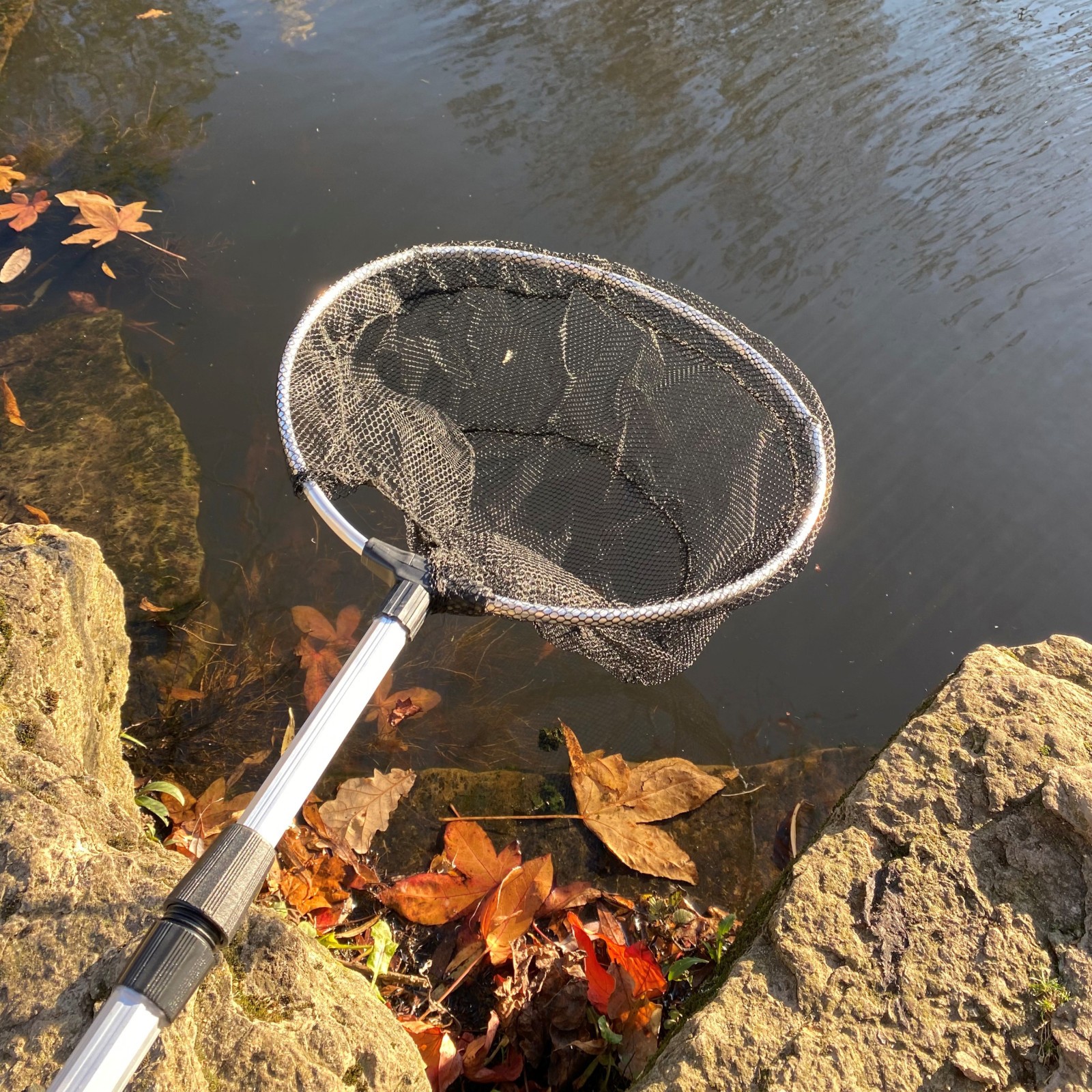 Extending Telescopic Pond Net with Long Handle for Cleaning (190cm) - Pack of 2