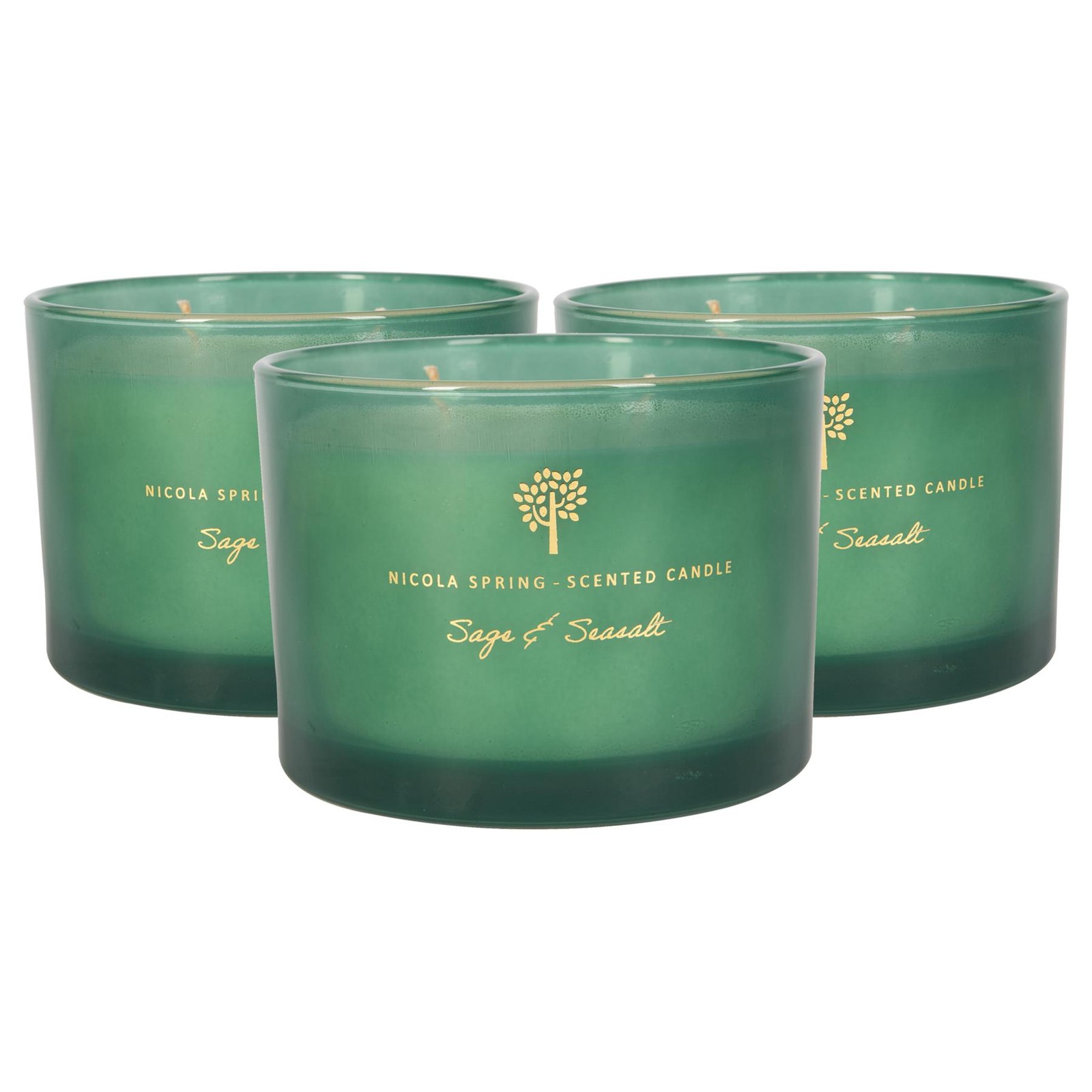 3x Soy Wax Scented Candles Aromatherapy Gift 38hr Burn 350g Sage & Seasalt