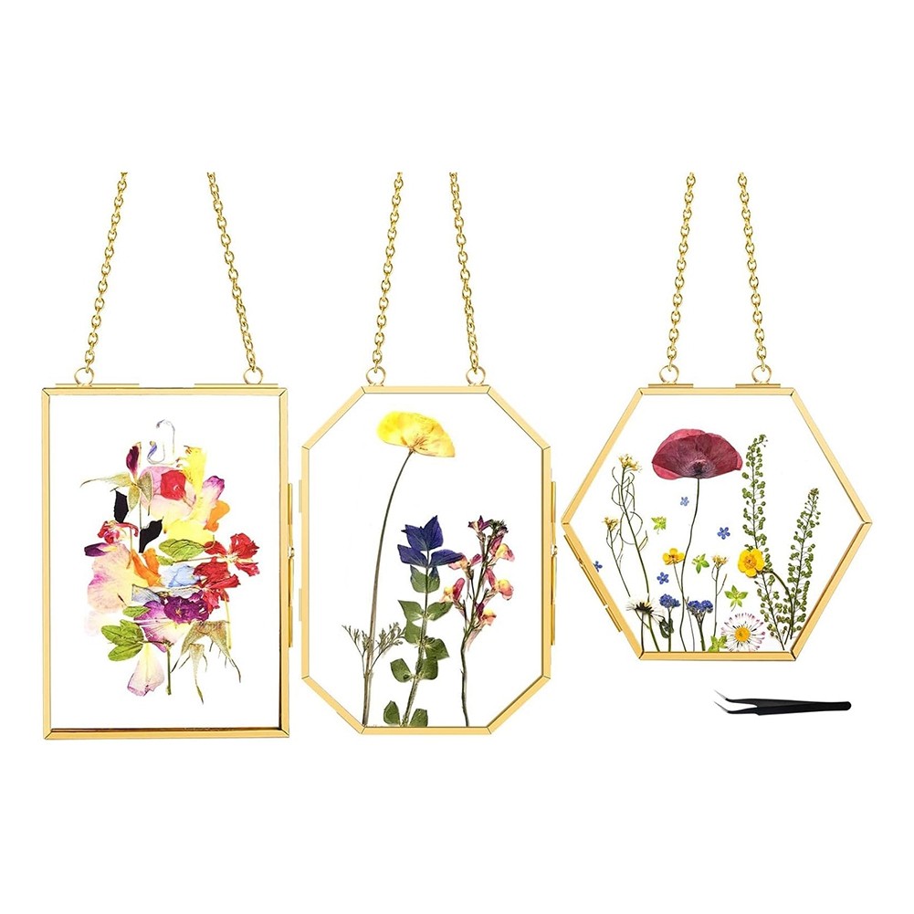 3 Pcs Pressed Flower Frames with Tweezers, Wall Hanging Glass Frames with7086