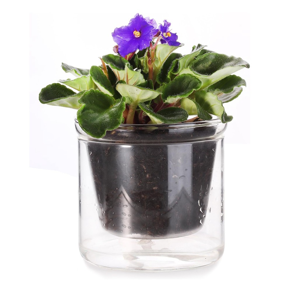 10X(4 Inch Self Watering Pot,African Violet Pot,Bottom Watering Glass3967