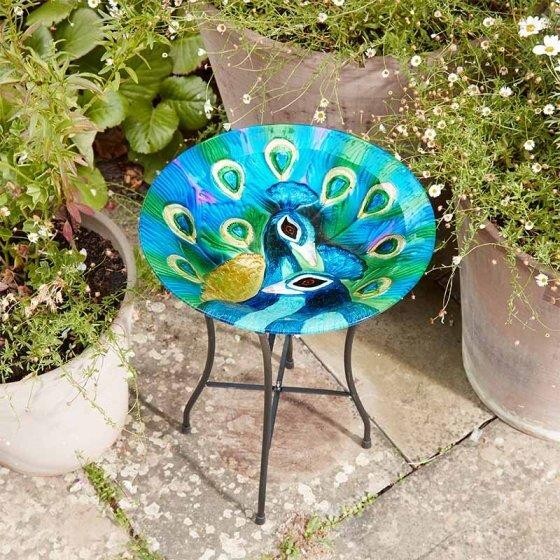 Garden Bird Bath Table Peacock Outdoor Large Glass Feeder Feeding Station 50cm