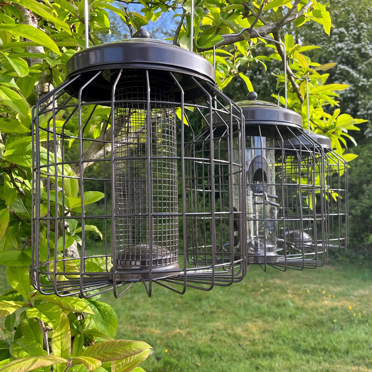 Hanging Bird Feeders Heavy Duty Squirrel Proof (Set of 3) Nut, Seed & Fat Ball