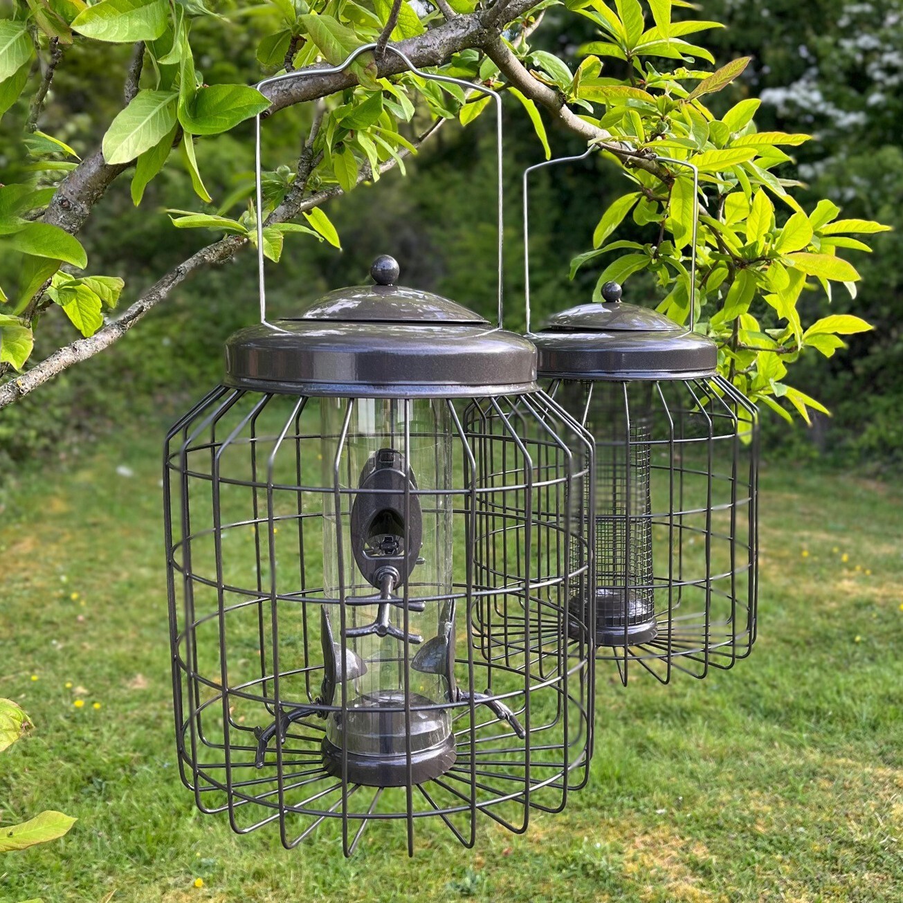Heavy Duty Squirrel Proof Hanging Bird Seed & Nut Feeders (Set of 2) Garden