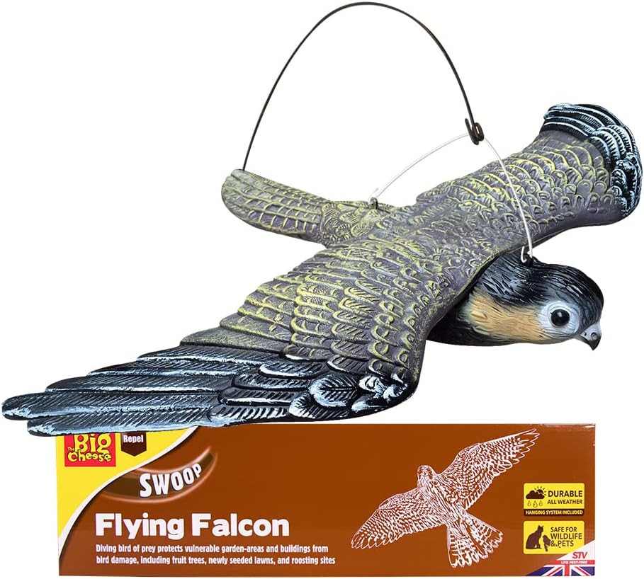 The Big Cheese Flying Falcon with Sprung Hanging System Realistic Decoy Deterre