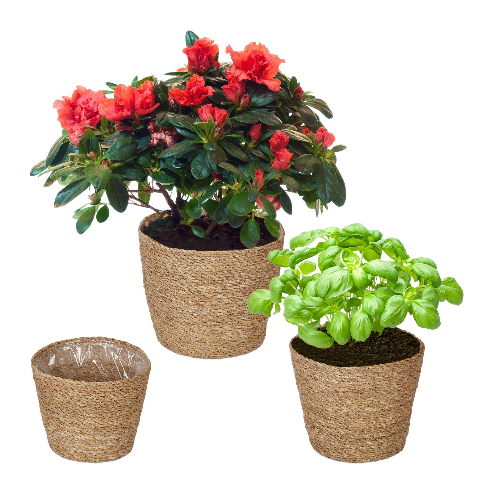 Flowerpot Seagrass Plant Pots Woven Flower Baskets Round Herb Planters Compact